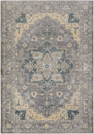 Surya Serene SRE-1004 Brown/Grey Area Rug 5'3'' X 7'3''