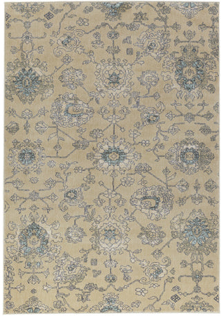 Surya Serene SRE-1007 Brown/Grey Area Rug 5'3'' X 7'3''