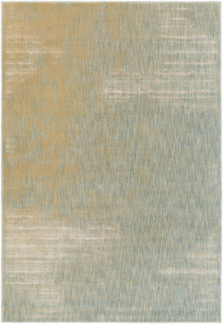 Surya Serene SRE-1009 Brown/Blue Area Rug 5'3'' X 7'3''