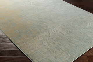 Surya Serene SRE-1009 Brown/Blue Area Rug Closeup