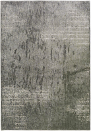 Surya Serene SRE-1010 Brown/Grey Area Rug 5'3'' X 7'3''