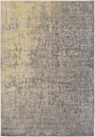 Surya Serene SRE-1011 Brown/Neutral Area Rug 5'3'' X 7'3''