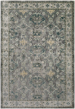 Surya Serene SRE-1013 Brown/Grey Area Rug 5'3'' X 7'3''