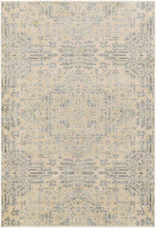 Surya Serene SRE-1016 Brown/Blue Area Rug 5'3'' X 7'3''