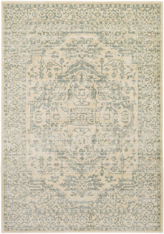 Surya Serene SRE-1017 Brown/Blue Area Rug 5'3'' X 7'3''