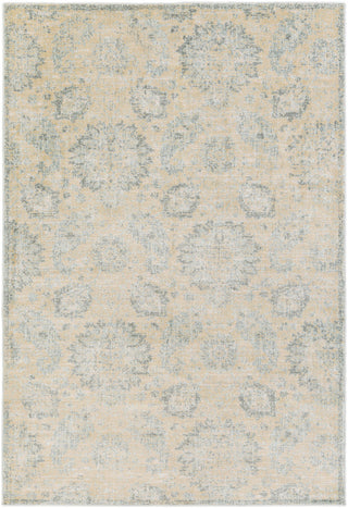 Surya Serene SRE-1018 Neutral/Brown Area Rug main image