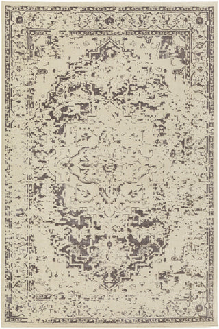 Surya Stretto SRO-1001 Brown/Neutral Area Rug main image