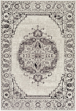 Surya Stretto SRO-1007 Grey/Blue Area Rug 5'3'' X 7'3''