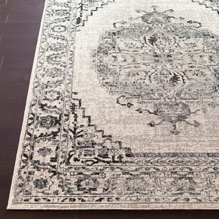 Surya Stretto SRO-1007 Area Rug Detail Image