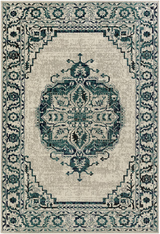 Surya Stretto SRO-1008 Grey/Blue Area Rug 5'3'' X 7'3''