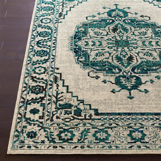 Surya Stretto SRO-1008 Area Rug Detail Image