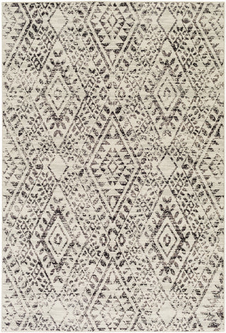 Surya Stretto SRO-1011 Brown/Grey Area Rug main image