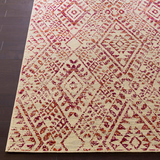 Surya Stretto SRO-1013 Area Rug Detail Image