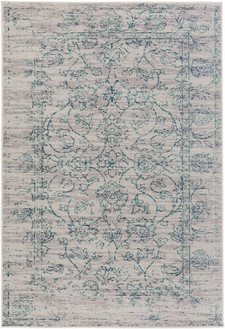 Surya Stretto SRO-1015 Grey/Blue Area Rug main image