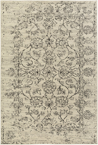 Surya Stretto SRO-1016 Neutral/Grey Area Rug main image