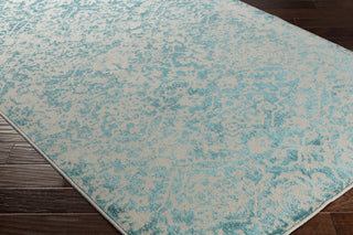 Surya Stretto SRO-1019 Grey/Blue Area Rug Closeup