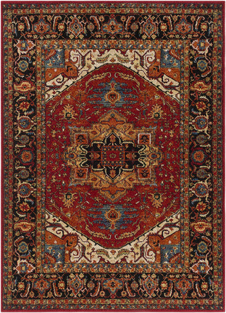 Surya Serapi SRP-1001 Red/Black Area Rug main image