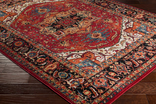 Surya Serapi SRP-1001 Area Rug Corner Image