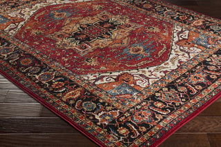 Surya Serapi SRP-1001 Red/Black Area Rug Closeup