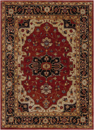 Surya Serapi SRP-1002 Red/Black Area Rug main image