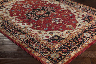 Surya Serapi SRP-1002 Red/Black Area Rug Closeup