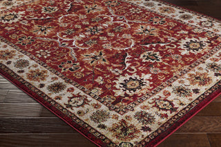 Surya Serapi SRP-1005 Area Rug Closeup