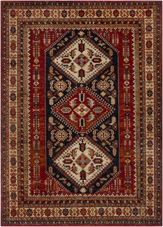 Surya Serapi SRP-1006 Red/Brown Area Rug main image