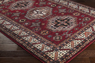 Surya Serapi SRP-1007 Red/Black Area Rug Closeup