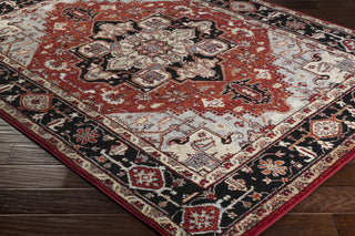 Surya Serapi SRP-1008 Grey/Red Area Rug Closeup