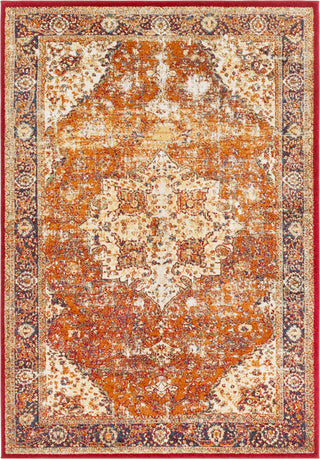 Surya Serapi SRP-1019 Area Rug main image