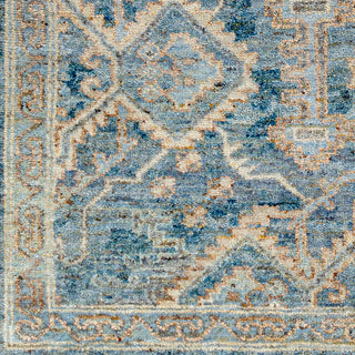 Surya Sakarya SRY-2301 Area Rug Swatch