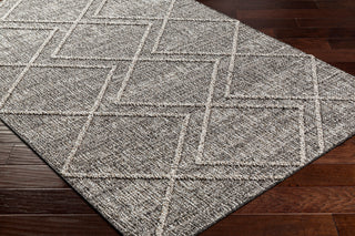 Surya Sarasota SSO-2306 Area Rug Corner Shot