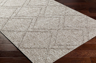 Surya Sarasota SSO-2307 Area Rug Corner Shot