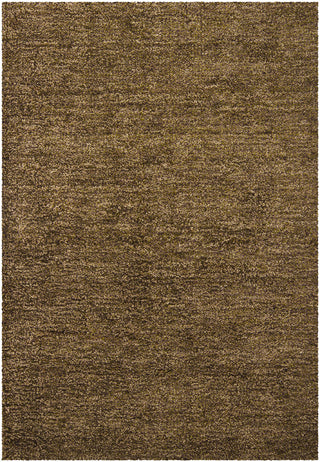 Chandra Sterling STE-21802 Brown/Green/Purple Area Rug main image