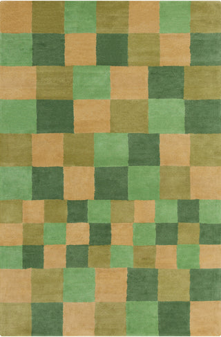 Chandra Stella STE-52147 Green/Gold Area Rug main image