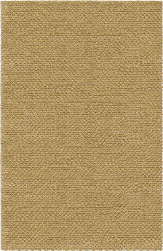 Chandra Strata STR-1160 Gold/Tan Area Rug main image