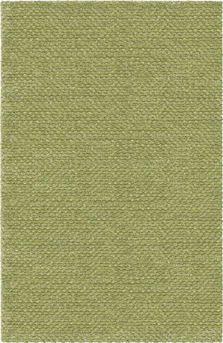 Chandra Strata STR-1163 Green Area Rug main image