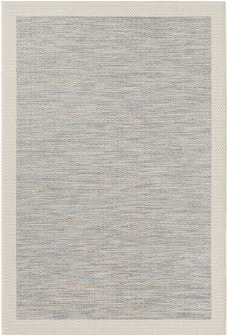 Santa Cruz STZ-6000 Blue Area Rug by Surya 5'3'' X 7'7''