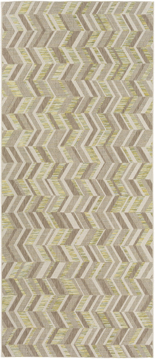 Santa Cruz STZ-6005 Brown Area Rug by Surya 2' X 3'7''