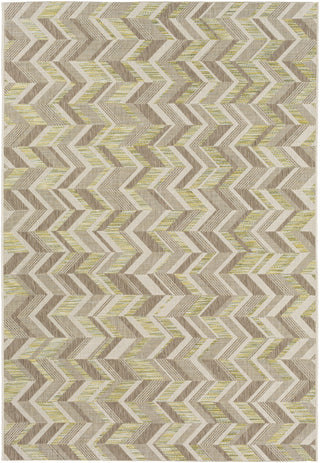 Santa Cruz STZ-6005 Brown Area Rug by Surya 5'3'' X 7'7''