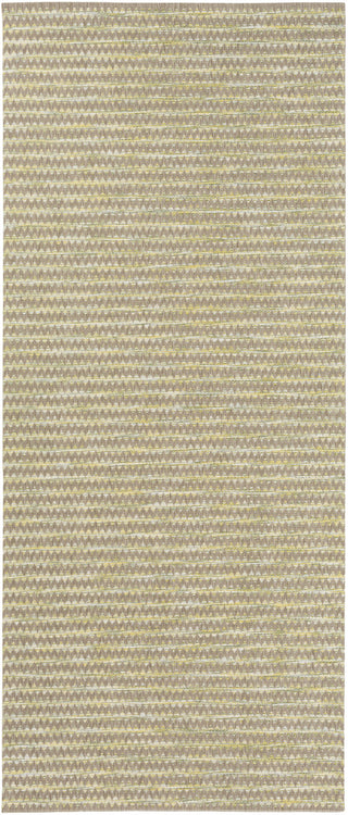 Santa Cruz STZ-6010 Brown Area Rug by Surya 2' X 3'7''