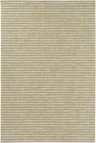 Santa Cruz STZ-6010 Brown Area Rug by Surya 5'3'' X 7'7''