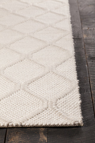 Chandra Sujan SUJ-34700 White Area Rug Corner Shot