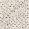 Chandra Sujan SUJ-34701 Beige Area Rug Close Up