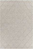 Chandra Sujan SUJ-34703 Grey Area Rug main image
