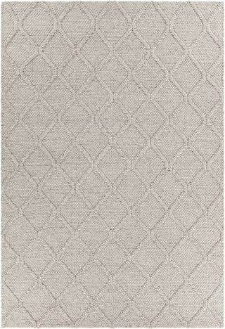 Chandra Sujan SUJ-34703 Grey Area Rug main image