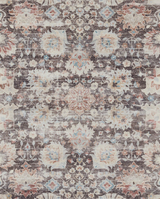 Momeni Sultana SLT-1 Brown Area Rug Main Image