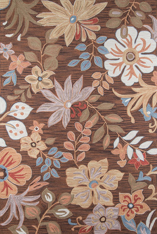 Momeni Summit SUM-4 Brown Area Rug