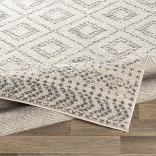 Livabliss Sunderland SUN-2301 Area Rug