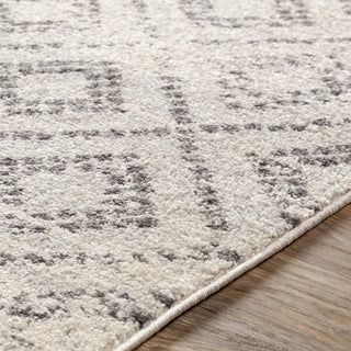 Livabliss Sunderland SUN-2301 Area Rug